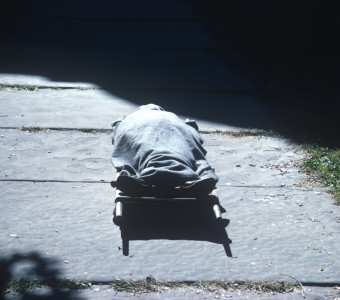 Body on stretcher covered with a blanket. Likely around death scene at creek.